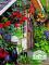 Garden Tools By Lee Valley Tools