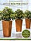 Picture of silk floral arrangements from Office Scapes Direct catalog