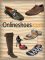 Onlineshoes.com