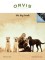 Picture of dog catalog from Orvis - Pets catalog