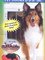 Pet Doors U.S.A.