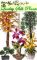 Quality Silk Plants