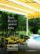 ShadeTree Canopies