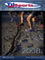 Picture of triathlon from TriSports.com catalog