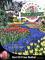 Picture of tulip bulbs from Tulips.com catalog