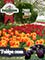 Picture of tulip bulbs from Tulips.com catalog