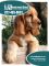Picture of heartgard for dogs from Vet Med Direct catalog