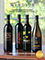 Picture of custom wine labels from Windsor Vineyards catalog