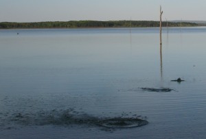 skipping stone