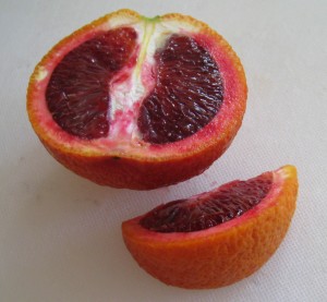 citrus_bloodorange