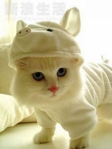 One of the top ten comfy kids clothes