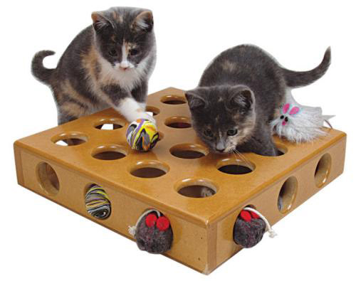 One of the best of interactive cat toys