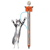 One of the best of interactive cat toys