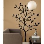 One of the best of feng shui in the home