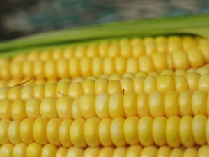 corn American side dishes corn on the cob