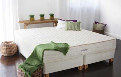 One of the best of indoor air quality solutions