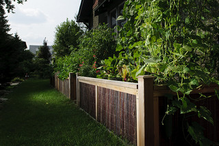 Raised Planters