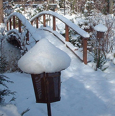 Winter Garden