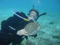 Underwater Treasure Hunting: A Methodical Look at Wrecks and Gear