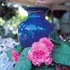 Photo of Down Under Pots