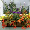 Photo of Planters & Liners