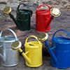 Photo of Watering