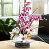 Photo of Artificial Orchids