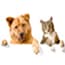 Photo of Pet Gifts