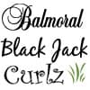 Photo of Fonts & Prices