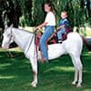 Photo of Horse Essentials