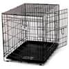 Photo of Pets