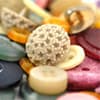 Photo of Buttons