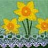 Photo of Lace Trims