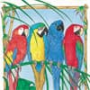 Photo of Birds & Parrots