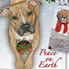 Photo of Christmas