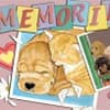 Photo of Pet Sympathy