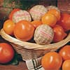 Photo of Fruit Gifts