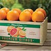 Photo of Navel Oranges