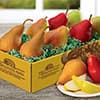 Photo of Pears