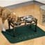 Photo of Dog Bowls & Feeders