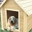 Photo of Dog Houses & Pens