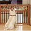 Photo of Dog Gates