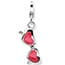 Photo of Silver Charms