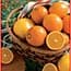 Photo of Naval Oranges