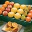 Photo of Fruit Samplers