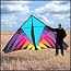Photo of Delta Kites