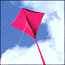 Photo of Best for Beginner Kites