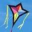 Photo of Diamond Kites