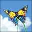 Photo of Kites for Kids