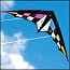 Photo of Power Kites